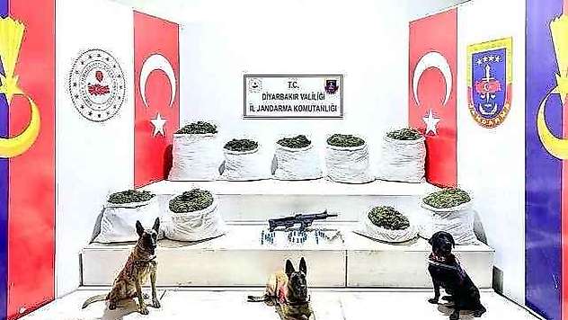 364,5 Kilo Uyuşturucu İle 150 Bin Kök Skunk Bitkisi Ele Geçirildi