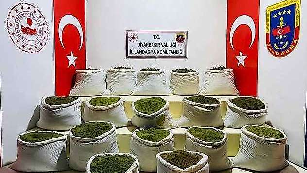 1 Ton 354 Kilo Esrar, 122 Bin Uyuşturucu Bitkisi Ele Geçirildi