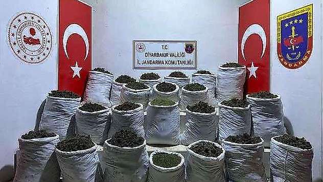 435 Kilo Esrar Ve 632 Bin 120 Kök Esrar Bitkisi Ele Geçirildi
