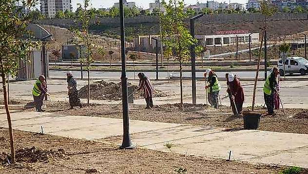 Adıyaman Millet Bahçesi Ağaçlandırılıyor