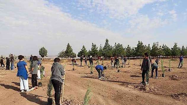 Öğrenciler Mavi Selvileri Toprakla Buluşturdu