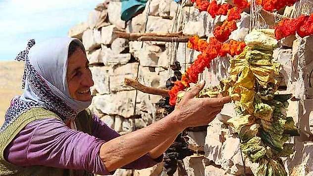 Kurutmalıklar Kışa Hazır