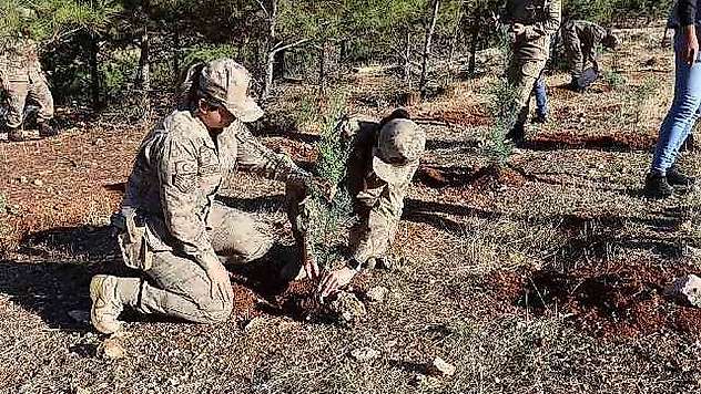 Jandarma 100. yıla özel 100 fidan dikti