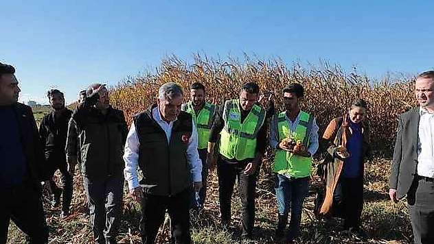 Atık su gübresi yüksek rekolte getirdi