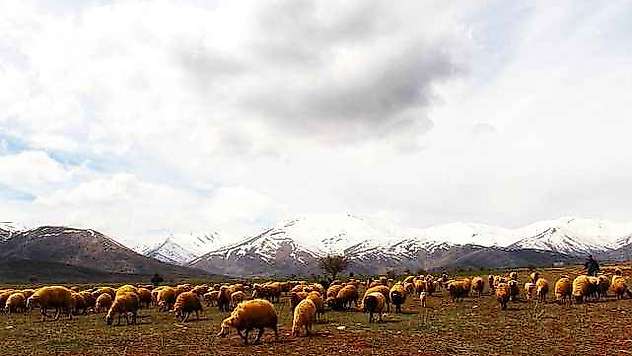 Kahramanmaraş'a yılın ilk karı yağdı, kartpostallık görüntüler oluştu