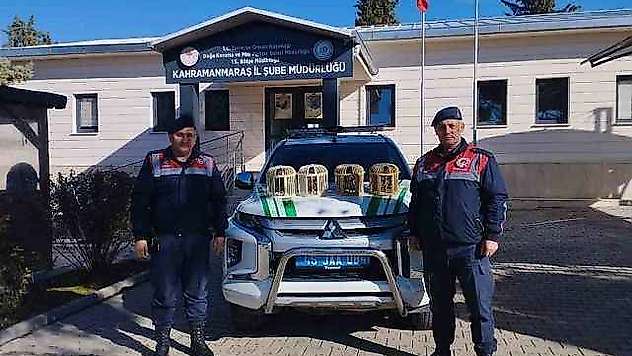 Konteynerde keklik besleyen şahıs yakalandı