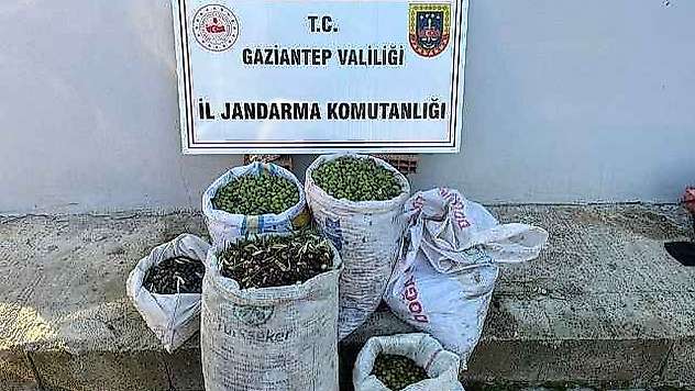 Jandarma ekipleri hırsızlara göz açtırmıyor