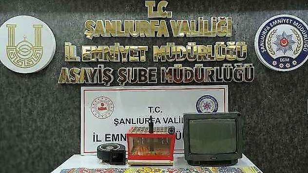 Şanlıurfa'da tombala baskını