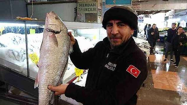 Kahramanmaraş balık pazarı taşınıyor
