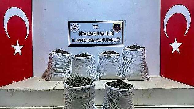 Lice'de 3 ayrı noktada 79 kilo esrar ele geçirildi