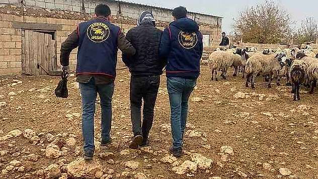 Mardin'de 2 aydır aranan cezaevi firarisi yakalandı