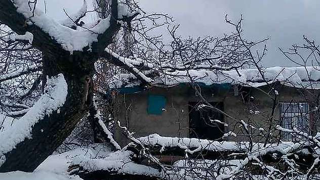 Şırnak'ta fırtına nedeniyle ağaç devrildi