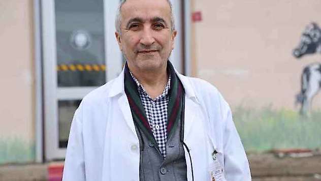 Sokak köpekleri için barınak ve çip vurgusu