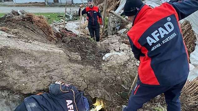 Batman'da ahır çöktü: 8 yavru köpekten 5'i kurtarıldı