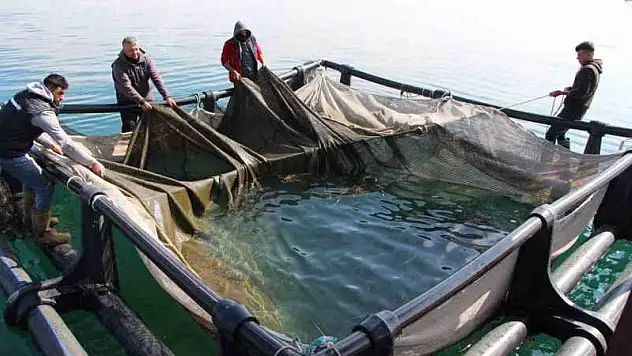 Şanlıurfa'dan ülke ekonomisine 100 milyon dolar destek