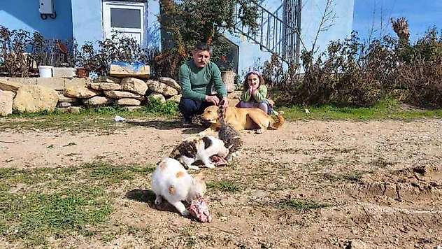 Köpek ile kedilerin yıllardır süren dostluğu