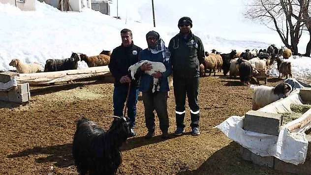 Veteriner ekip, Faraşin Yaylası'nda kalan besiciler için kilometrelerce yol gitti