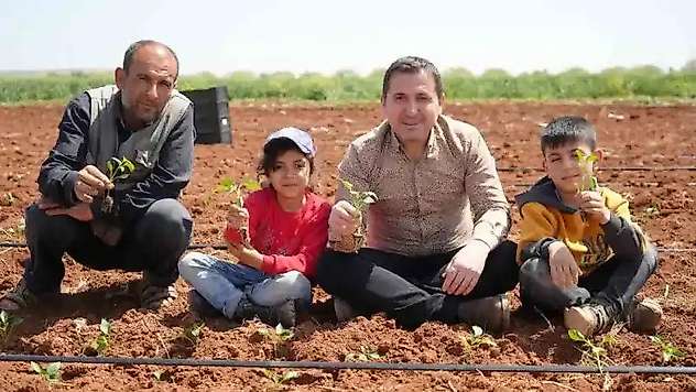 Kilis'te biber fideleri çocukların elleriyle toprakla buluştu
