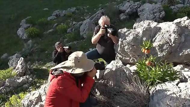 Ağlayan Gelin ziyaretçi akınına uğradı