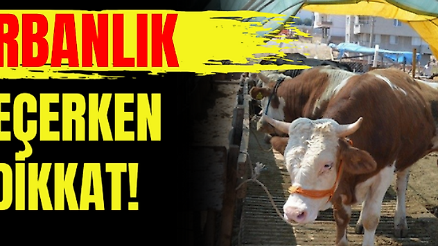 Kurbanlık Seçerken Dikkat!