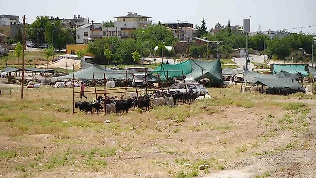 Kurban kesim ve satış alanları belirlendi