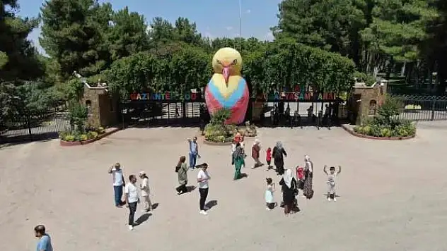 Kavurucu sıcaklarda hayvanlar buzlu kokteyl ile serinliyor
