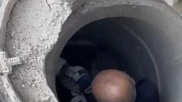 Adıyaman'da lağım borusuna sıkışan kediyi itfaiye ekipleri kurtardı