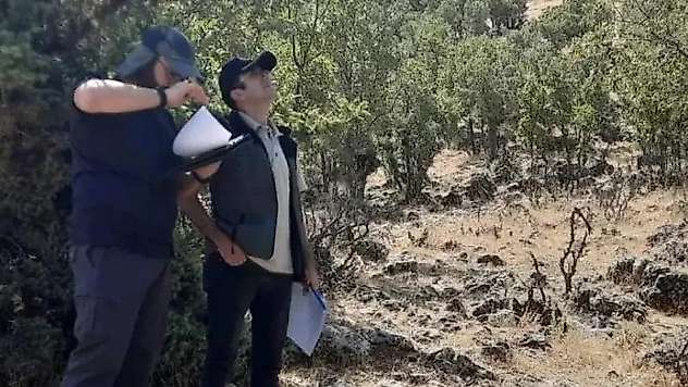 Gölbaşı'nda ormanların sağlığı araştırılıyor