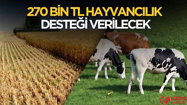 270 bin TL hayvancılık desteği sağlanacak