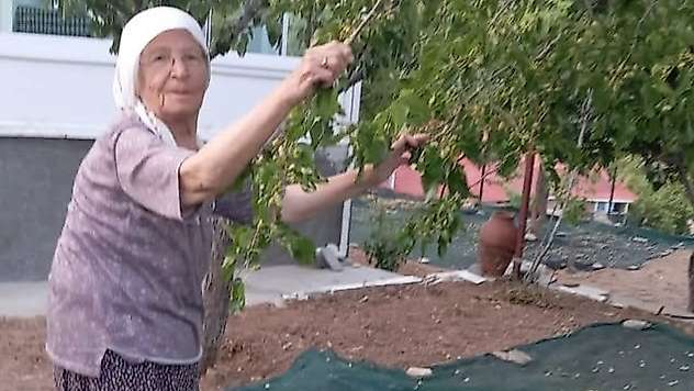 85 yaşındaki çift, geleneksel yöntemlerle dut pekmezi üretimini sürdürüyor