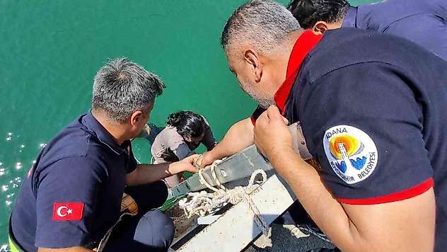 Adana'da köprüden düşen kadın itfaiye ekiplerince kurtarıldı