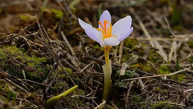 Adıyaman'a ilk cemre ne zaman düşecek?