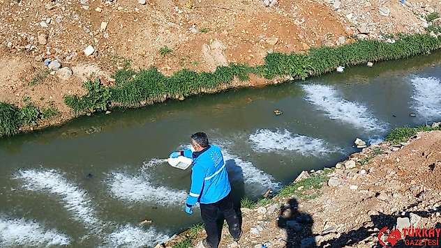 Adıyaman Belediyesi'nden larva mücadelesi
