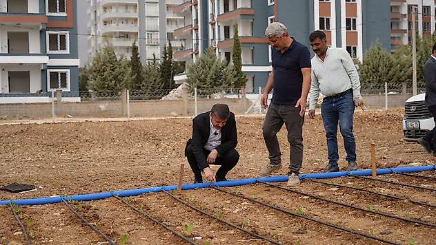 Adıyaman Belediyesi sebze üretimine başladı