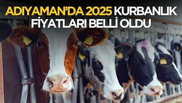 Adıyaman'da 2025 kurbanlık fiyatları ne kadar?