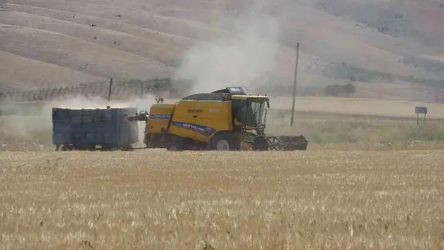 Adıyaman'da hububat hasadı arpa ile başladı
