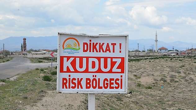 Adıyaman'da kuduz vakası nedeniyle o köy karantina altına alındı