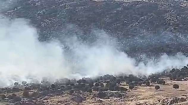 Adıyaman'da ormanlık alanda yangın