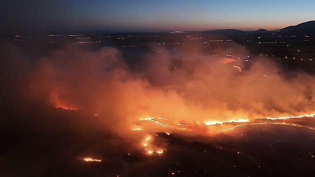 Adıyaman'da ormanlık alanda yangın