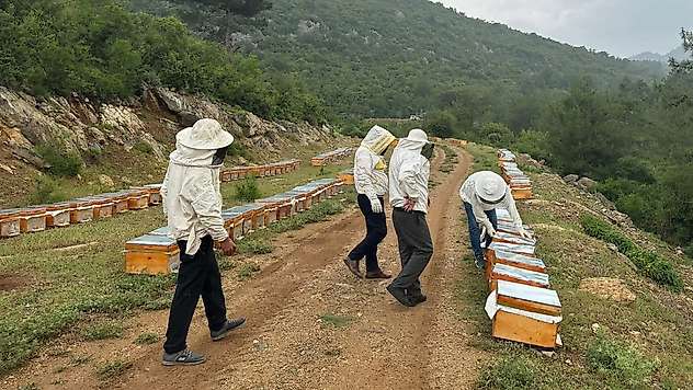 Adıyamanlı arıcılar, 2025 yılı bal fiyatlarını açıkladı