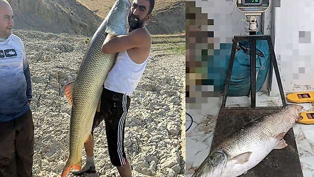 Adıyamanlı balıkçılar oltayla 51 Kilo 200 gram ağırlığında Fırat Turnası yakaladı