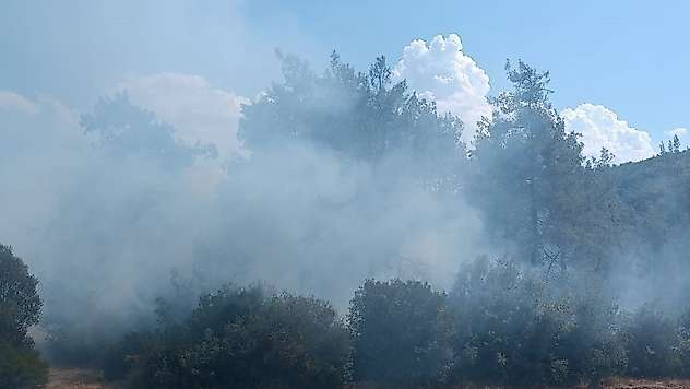 Andırın'da orman yangını büyümeden söndürüldü