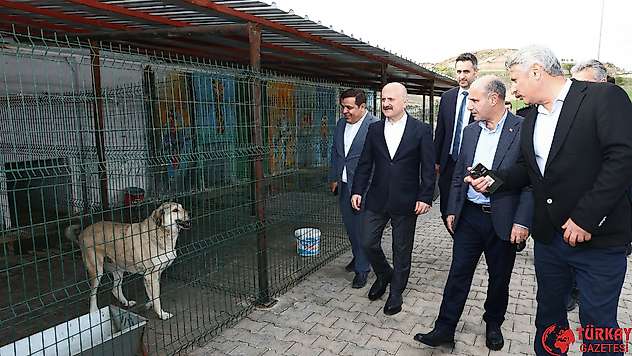 Bakan Yardımcısı Aktaş, Hayvan barınağında incelemelerde bulundu