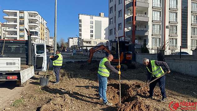 Başkan Hallaç: 'Geleceğe daha yeşil bir Kahta bırakıyoruz'