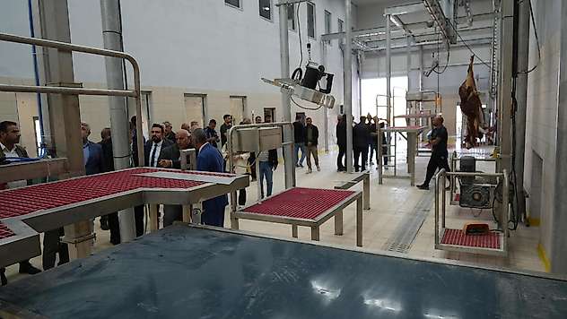 Başkan Tutdere'nin vizyon projelerinden modern kesimhanede ilk kesim gerçekleşti