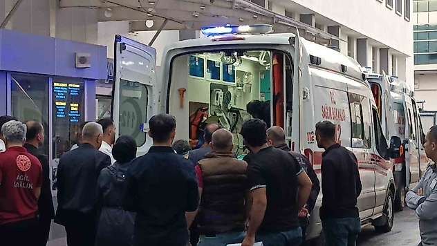 Batman'da yıldırımın isabet ettiği çoban ağır yaralandı