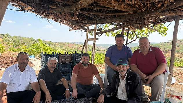 Besni'de üzümler kurumaya bırakıldı