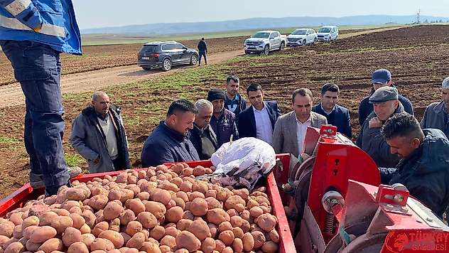 Besni'de patatesler toprakla buluştu