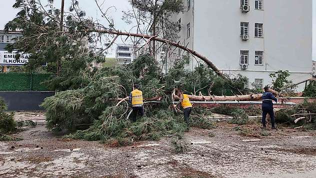 Birecik'te afetin yaraları sarılıyor