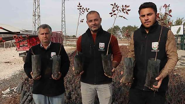 Büyükşehir'den çiftçilere 35 bin fıstık fidanı desteği